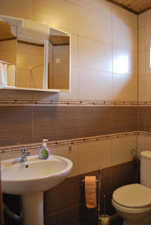 Pensiunea Alexandra Vatra Moldovitei Phòng bức ảnh