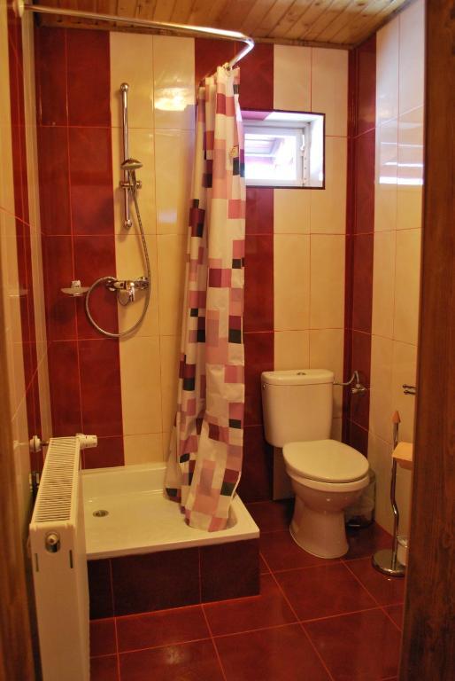 Pensiunea Alexandra Vatra Moldovitei Phòng bức ảnh